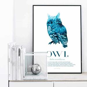 Owl - Scandinavian Wildlife poster - A4 Blå