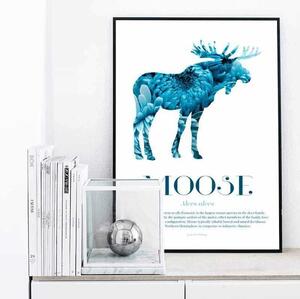 Moose - Scandinavian Wildlife poster - A4 Rosa