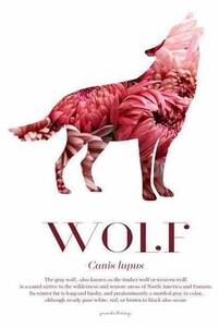 Wolf - Scandinavian Wildlife poster - A4 Rosa