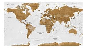 Fototapet XXL - World Map: White Oceans II - 500x280