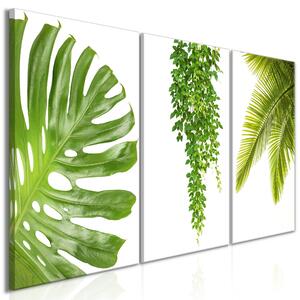 Canvas Tavla - Beautiful Palm Trees (3 delar) - 120x60