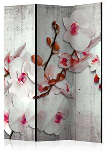 Rumsavdelare - Concrete Orchid - 135x172