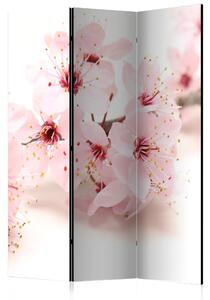 Rumsavdelare / Skärmvägg - Cherry Blossom - 135x172
