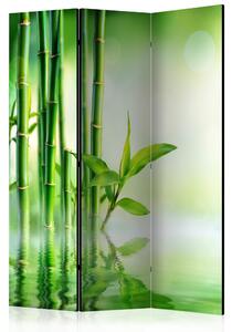 Rumsavdelare / Skärmvägg - Green Bamboo - 135x172