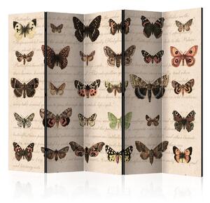 Rumsavdelare / Skärmvägg - Retro Style: Butterflies II - 225x172