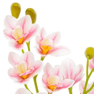 Konstväxt Orkidé med kruka 90 cm rosa