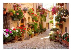 Fototapet - The Alley in Spello (Italy) - 100x70