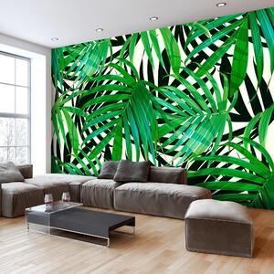 Fototapet - Tropical Leaves - 100x70