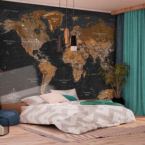Fototapet - World: Stylish Map - 100x70