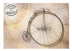 Fototapet - Vintage bicycles - sepia - 150x105