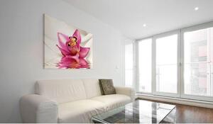 Canvas Tavla - Unusual orchid - 60x40