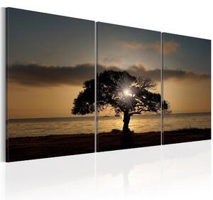 Canvas Tavla - Extraordinary Nature - 120x60