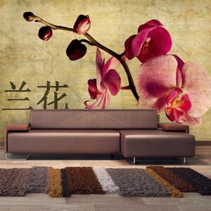 Fototapet - Japanese orchid