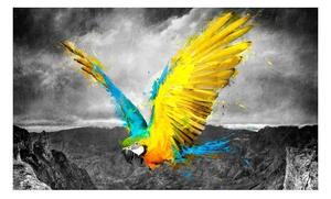 Fototapet - Exotic parrot
