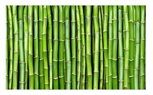 Fototapet - Bamboo vägg