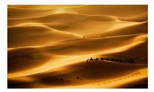 Fototapet - Karavan av kameler