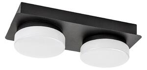 Rabalux 75002 - LED taklampa för badrum ATTICHUS 2xLED/5,5W/230V IP44