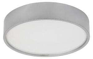 Rabalux 75010 - LED taklampa LARCIA LED/18W/230V IP44 4000K silver