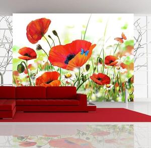 Fototapet - Country Poppies