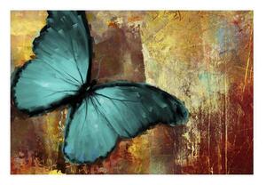 Fototapet - Painted butterfly - 400x270