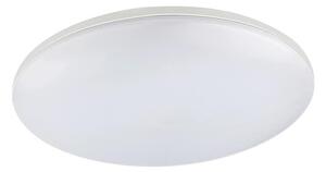 Globo 32118-24 - Utomhus LED Takbelysning DORI 1xLED/24W/230V