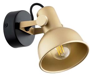 Argon 8248 - Spotlight LENORA 1xE14/7W/230V guld/svart