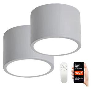 Immax NEO 07143-GR15BD-UPPSÄTTNING 2xLED Taklampa RONDATE 12W/230V Tuya šedá+på