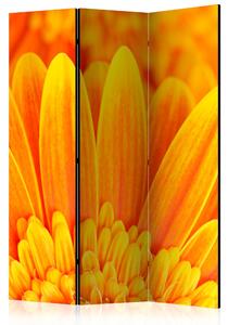 Rumsavdelare / Skärmvägg - Yellow gerbera daisies - 135x172