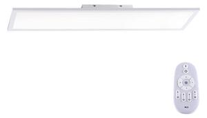 Paul Neuhaus 16533-16-O - LED Justerbar ljusstyrka fäst panel FLAT LED/24W/230V + Fjärrkontroll