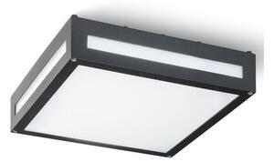 RÖD - Design Rendl- R10359 - Utomhus taklampa PLAKA 2xE27/26W/230V IP54