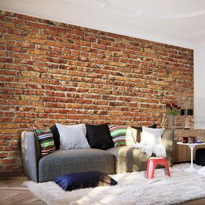 Fototapet - Brick Wall - 150x105
