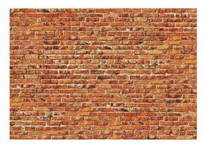 Fototapet - Brick Wall - 350x245