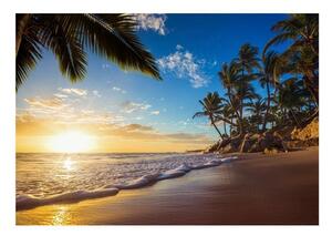 Fototapet - Tropical Beach - 100x70