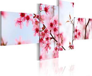 Canvas Tavla - Beauty of the cherry flowers - 200x90