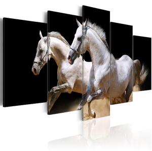 Canvas Tavla - Gallop- freedom and power - 100x50