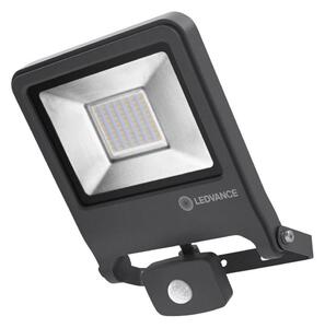 Ledvance - LED Strålkastare med sensor ENDURA LED/50W/230V IP44