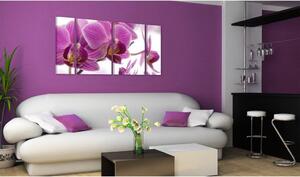 Canvas Tavla - Marvelous orchid - 60x30