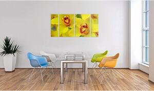 Canvas Tavla - Orchids - intensity of yellow color - 120x60