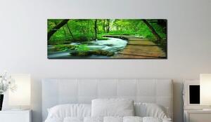 Canvas Tavla - Forest broadwalk - 135x45