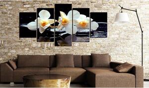 Canvas Tavla - Orchids with orange accent - 200x100