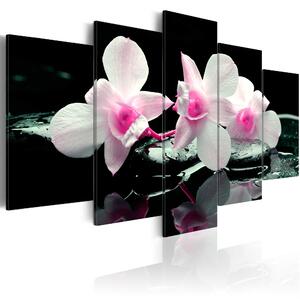 Canvas Tavla - Rest of orchids - 100x50