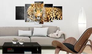 Canvas Tavla - Green-eyed leopard - 100x50