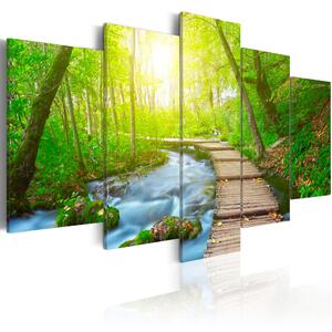 Canvas Tavla - Sunny Forest - 100x50