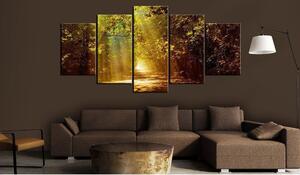 Canvas Tavla - Forest in the Sunlight - 100x50