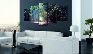 Canvas Tavla - Sunny Forest Path - 100x50