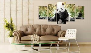 Canvas Tavla - Cute Panda Bear - 100x50