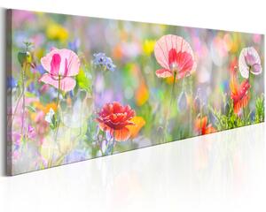 Canvas Tavla - Rainbow of Morning Poppies - 120x40