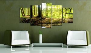 Canvas Tavla - Poetry of a Forest - 200x100