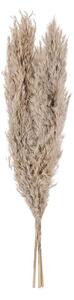 Eglo 428083 - Torkade blommor GUIPOS 55 cm beige