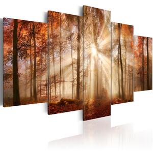 Canvas Tavla - Forest Fog - 200x100